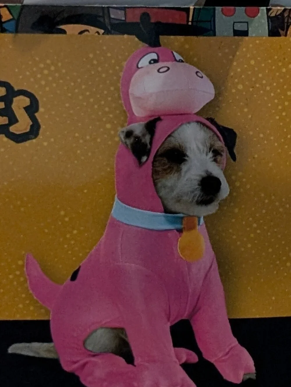Flintstone's Dino Pet Costume by Rubies, S